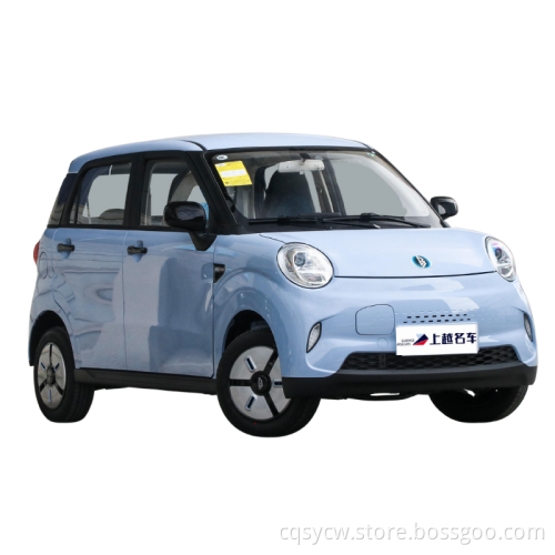 2023 New Version Adult Electric Car Sale China High Speed New Energy Vehicles
